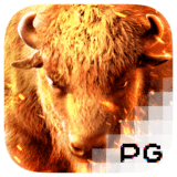 RTP pgsoft rival168